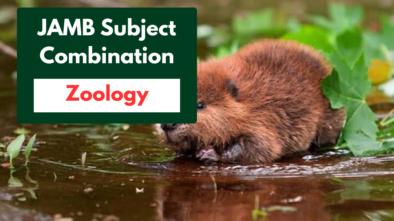 JAMB Subject Combination for Zoology